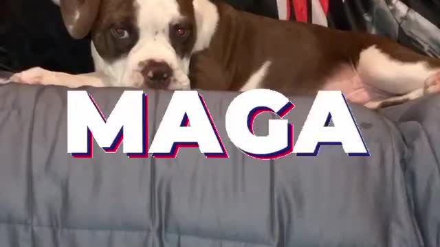 It's MAGA in this household