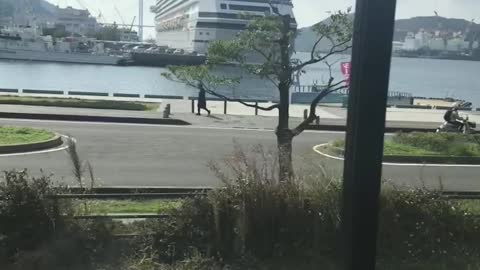 Japan life rocks