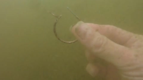 Metal Detecting While Scuba Diving Popular Swim Spot For Lost Treasure!-8