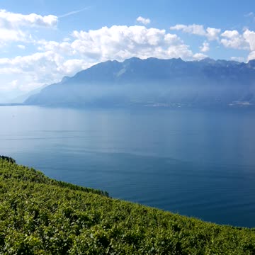 The perfect landscape of the swiss lake in Switzerland