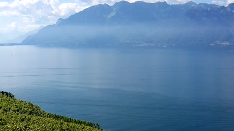 The perfect landscape of the swiss lake in Switzerland