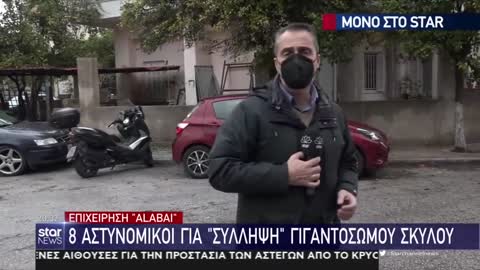 8 ΑΣΤΥΝΟΜΙΚΟΙ ΓΙΑ ΄΄ΣΥΛΛΗΨΗ΄΄ ΓΙΓΑΝΤΟΣΩΜΟΥ ΣΚΥΛΟΥ.