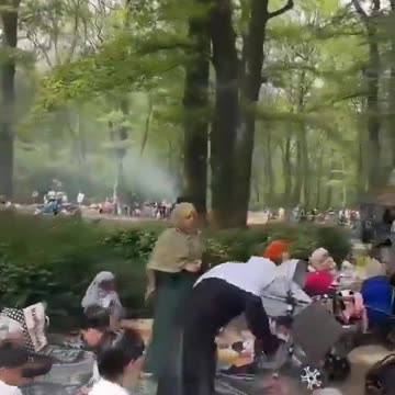 Picnic in the woods, Frankfurt, "Modern Germany".