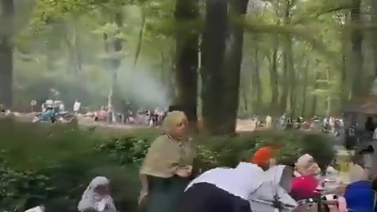 Picnic in the woods, Frankfurt, "Modern Germany".