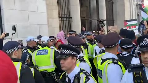 Met Police use batons and make arrests at pro-Palestine protest