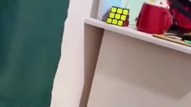 The cat finally knows what's wrong and corrects it after making a mistake