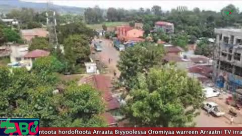 Oduu Waaree ONM-ABO Sadaasa 28-2024 itti dhiyaadhaa!