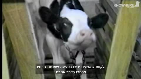 101 Ways to Go Vegan? 67 minutes (fascinating)