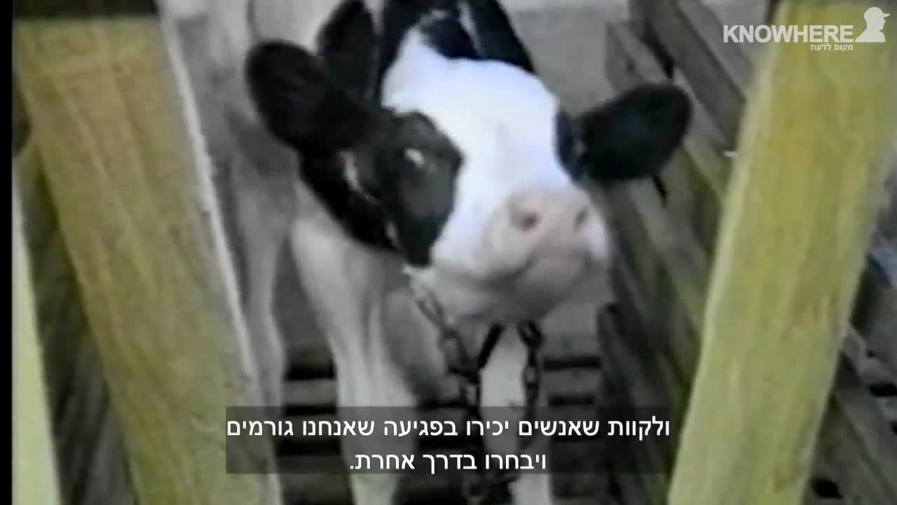 101 Ways to Go Vegan? 67 minutes (fascinating)