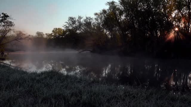 Beautiful nature: morning on the river