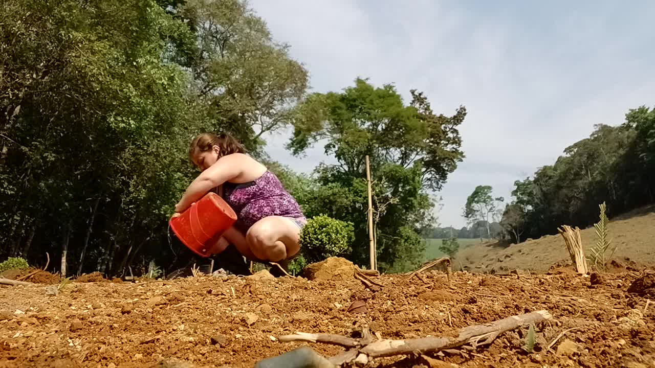 comprei uma chacara