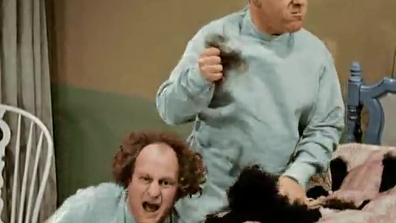 Three Stooges - Calling All Curs (1939)