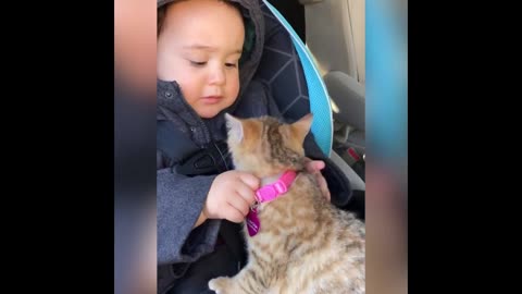 Cats and Babies - Compilation