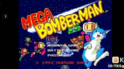 Mega Bomberman