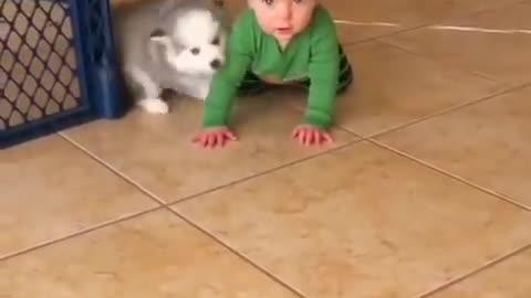 Dog loves quite pappy carefully puppy dog 😍