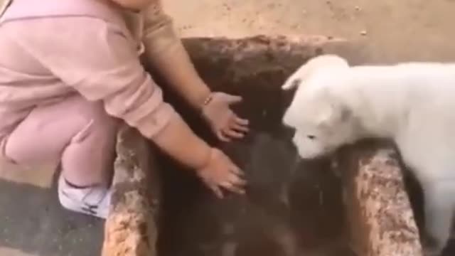 kid with dog water funny video