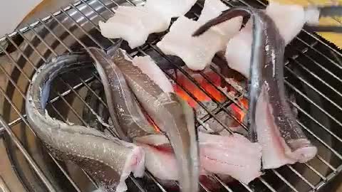 Eating conger eel