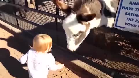 very funny video with children and animals #4