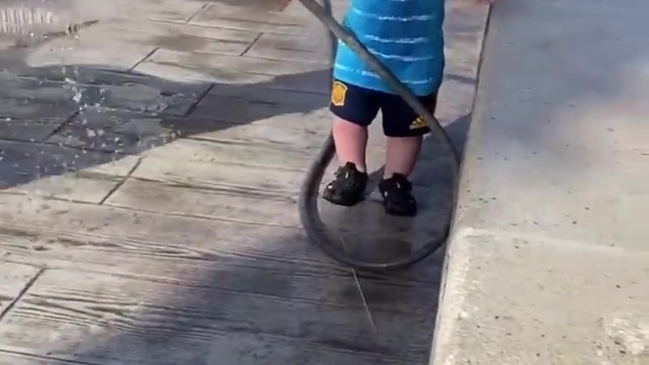 Funny babies videos compilation