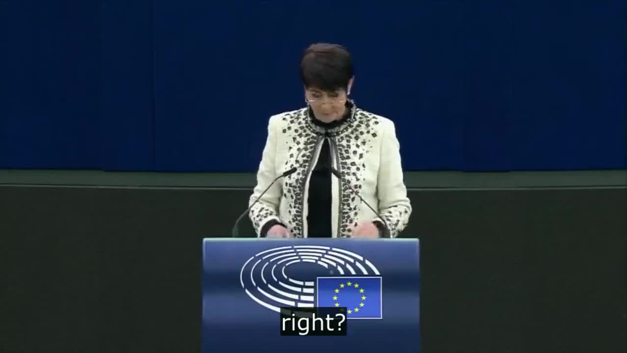 "Here's a Lesson" - MEP Christine Anderson Smacks EU With a Reminder on What Democracy Is All About