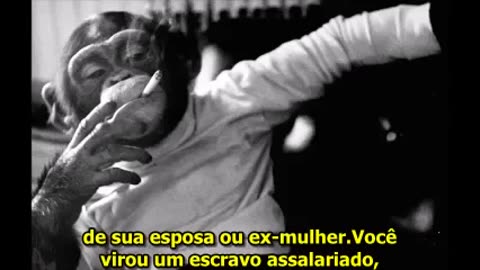 TFM - Seja um homem e case! sacrifique se!