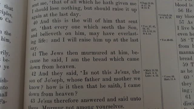 Typology in John 6