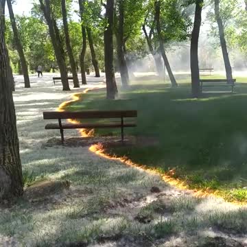 Burning Pollen from grass 😮