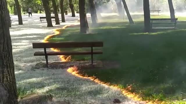 Burning Pollen from grass 😮