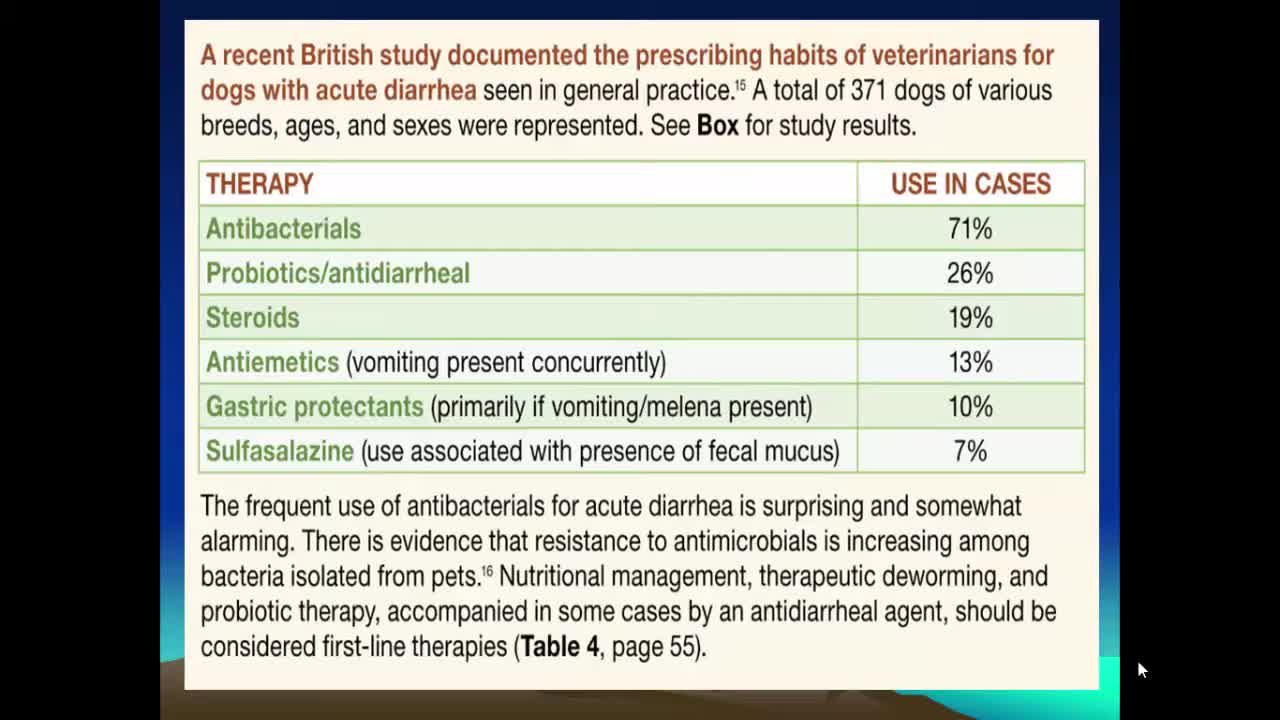 Proper treatment for Diarrhea in Dogs and Cats