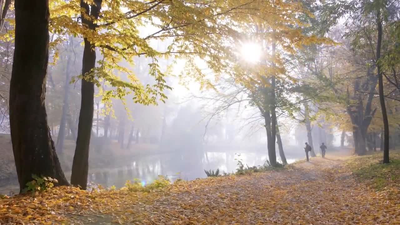 Enchanting Autumn Forests with Beautiful Piano Music