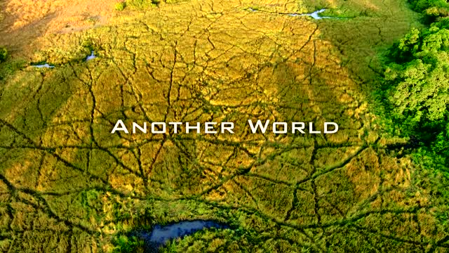 Another World in Dolby Digitale 4K UHD 60 FPS