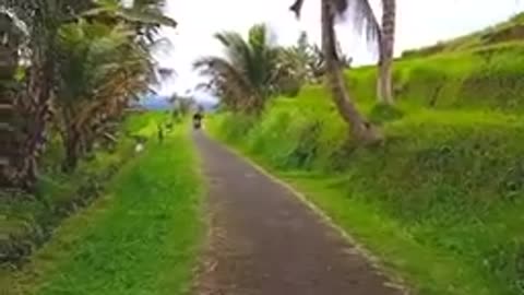 Panoramic indonesia