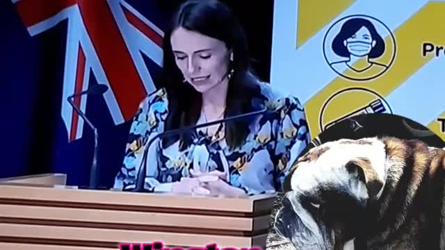 Johnny Danger's Weather report from the Depths of danger territory