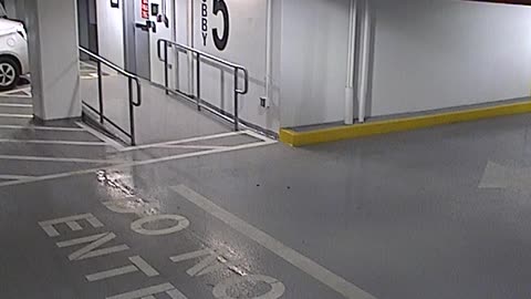 6080RHOBG3G305ANorthLobbyEntry_2021-01-06_21h40min03s837ms.mp4