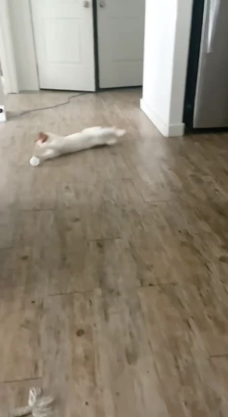 He shoots. He sco…….. No. what a save!!!!!! 🤣