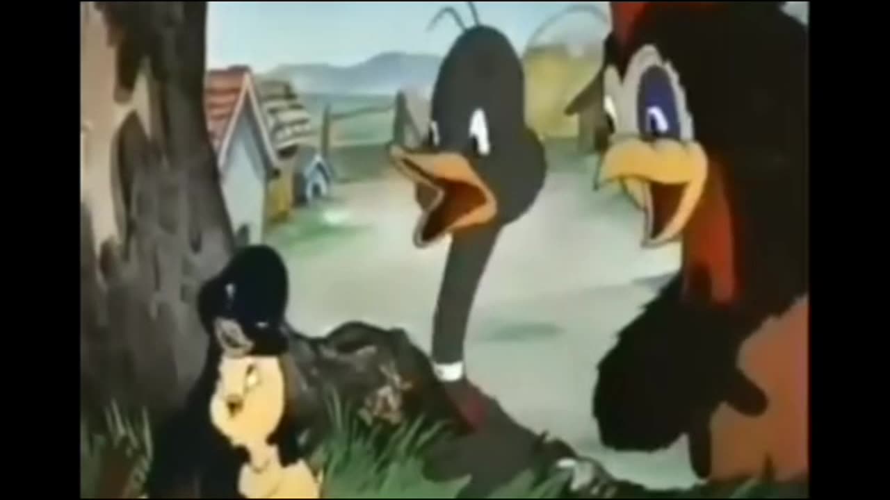 Best Funny classic cartoon