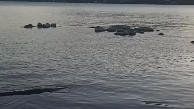 Lagoa Santo Antônio