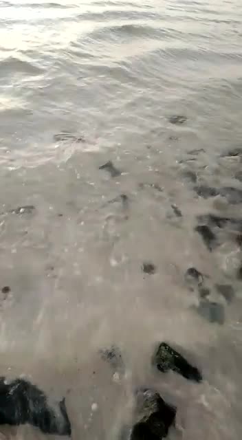 iPhone 6s plus Mobile Video Clip # -12