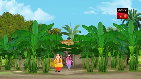 কলার কেরামতি