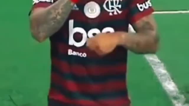 Os Melhores Videos Engraçados