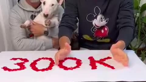 Cute and Funny Baby Dog Video