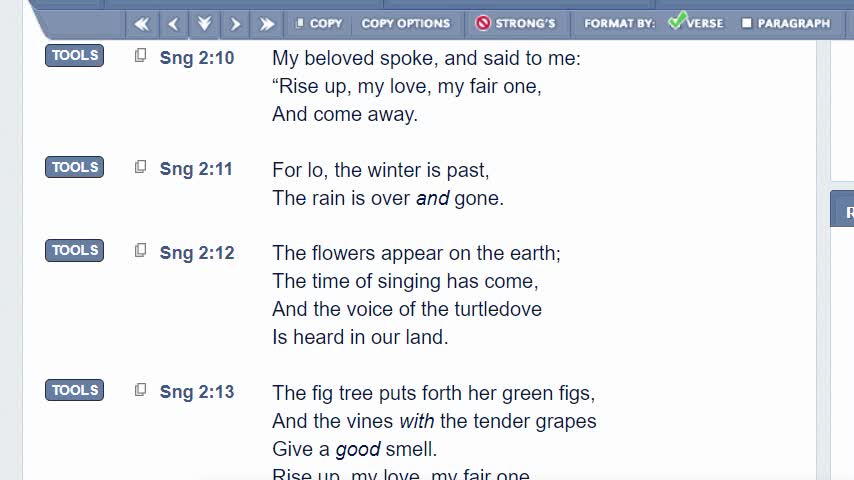 Rise Up My Love v2 - Susan Joy Dahl