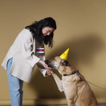 pexels-c-technical-6568519.mp4