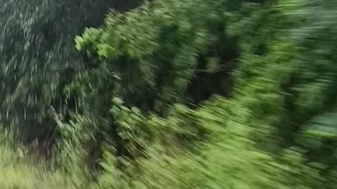 Bike race on jungle road