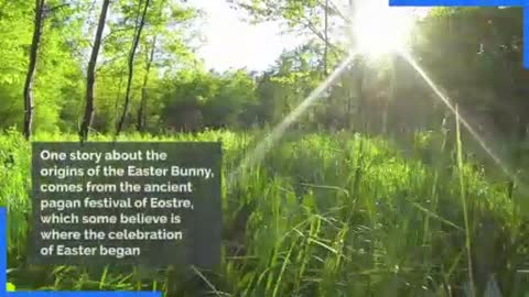The origins of the Easter Bunny