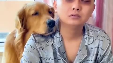 amazing dog