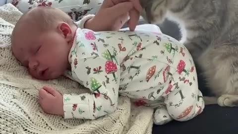 Cat loves the baby must watch 🔥
