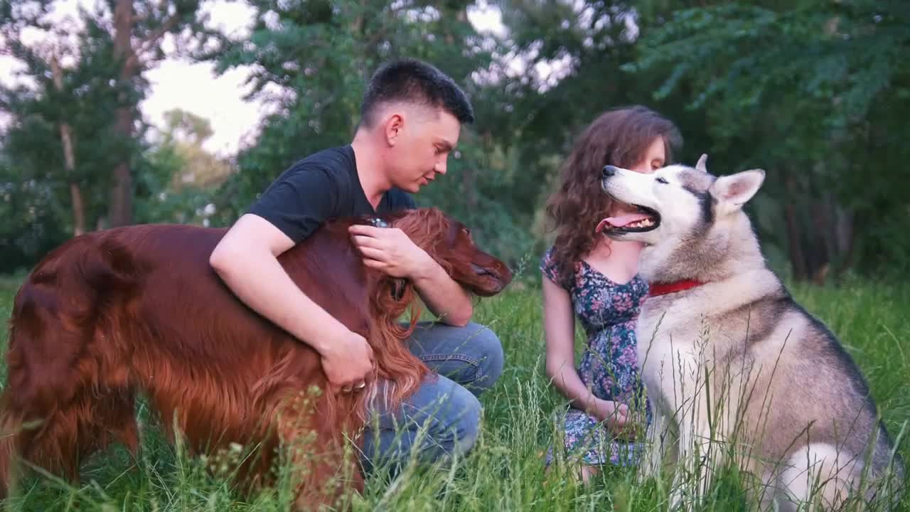 Loving couple with their dogs having a rest outdoors - throws a stick to a dog at sunset