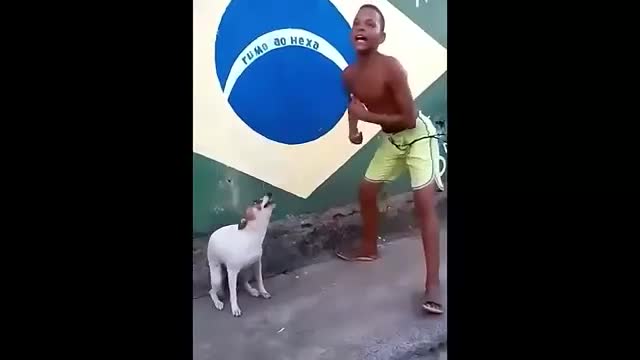 funny puppy dancing 😂