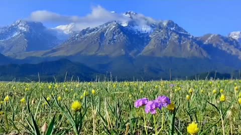 A place where birds sing and flowers fragrant